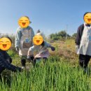 풀빛향기송정마을 이미지