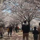 강변부분정비 이미지