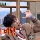 유 애 묘 이미지