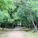 경상북도 야생동물 구조관리센터 이미지