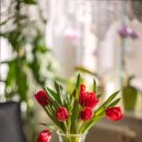 귀일원(귀일향기일굼터) | 광주시 서구에서 요양원 찾는다면 여기 귀일원 영업시간 및 위치 확인