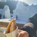 과학아 과학아 어디에 있니? | 태백산 눈축제 후기 2026년 강원도 태백 겨울 여행 코스 가볼만한곳