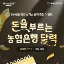 행운종합광고 이미지