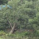 마을회관앞 이미지