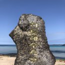 창흥동해수욕장 | 제주 구좌읍 하도리에 위치한 '하도해수욕장'