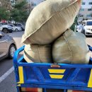 송우리 태봉 이미지