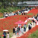 [북부] 난타(2025) 이미지