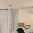 금송테라피