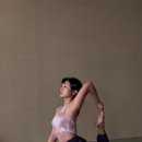 솔리드짐 이미지