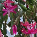 제일부동산중개 이미지