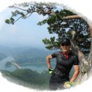 숲사랑홍보관 이미지