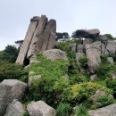 비슬산 대견사(琵瑟山 大見寺)