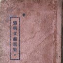 여명기획 이미지