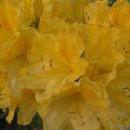 (주)금화 이미지