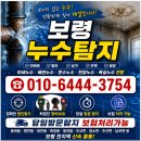 보령 누수탐지 천장누수 문의 탐지부터 복구까지 원스톱 지원