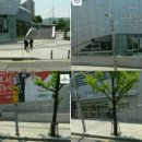 장충체육관 후문 이미지