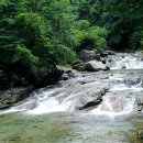 백운산계곡 화장실 이미지