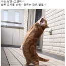 슬쩍