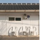 지리산남악제 및 군민의 날 행사 | “4월 18~20일 구례 필수 방문! 군민의 날+남악제 총집합”