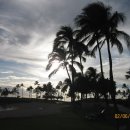 낙원(樂園-Paradise) 체험(體驗) 일주일, 하와이 (10) - 기화요초(奇花妖草)들, 그리고 이미지