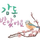 명신플라워
