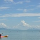 바다와 숲 이미지