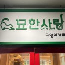 묘한사랑 이미지