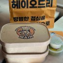 오드리치킨 | 역삼동 직장인의 점심 구독 서비스 '헤이 오드리' 후기