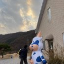 풍선목장 | 포천 아기랑 가기 좋은 카페 사르르목장 포천점 내돈내산 방문후기