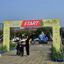 서귀포의료원4가 3 | 2026 서귀포 유채꽃 걷기대회 참가 후기