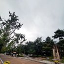 영남대로 | 문경여행 도립공원 | 주차 미로공원 아이와 함께 다녀온 후기