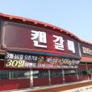 캔갈비