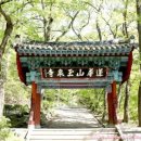 오두산 치유숲 이미지