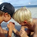 동춘초등학교 이미지