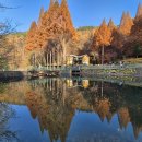 자연휴양림입구 공중화장실 이미지