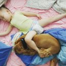 행복드림 동물병원 이미지