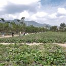 미동농장 이미지