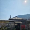 팔공PC | [팔공산 팔공 노을 철판구이] 팔공산 미나리 철 삼겹살 맛집 불 쇼 직관 후기