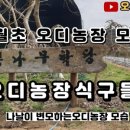 충일농장 이미지