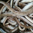 미소펜션 이미지