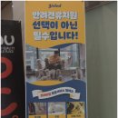 옐레드 애견유치원&애견호텔 대구신월성점 이미지