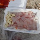 고경초등학교 이미지