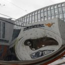 강남-164 이미지