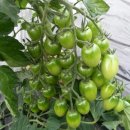 용범농장 이미지