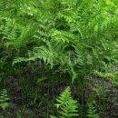 상리목장 이미지