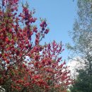 목동교 화장실 이미지