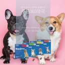 푸른건강약국 이미지