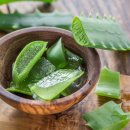 대왕푸드 이미지