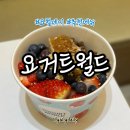요거트월드루원베르힐점 | 요거트월드 요월데이, 추천메뉴 루원베르힐점 홍대직영점