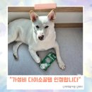 멍뭉# | 헬로마이펫 강아지 해충방지클립 다이소꿀템 멍뭉 산책가는 길 내돈내산 후기